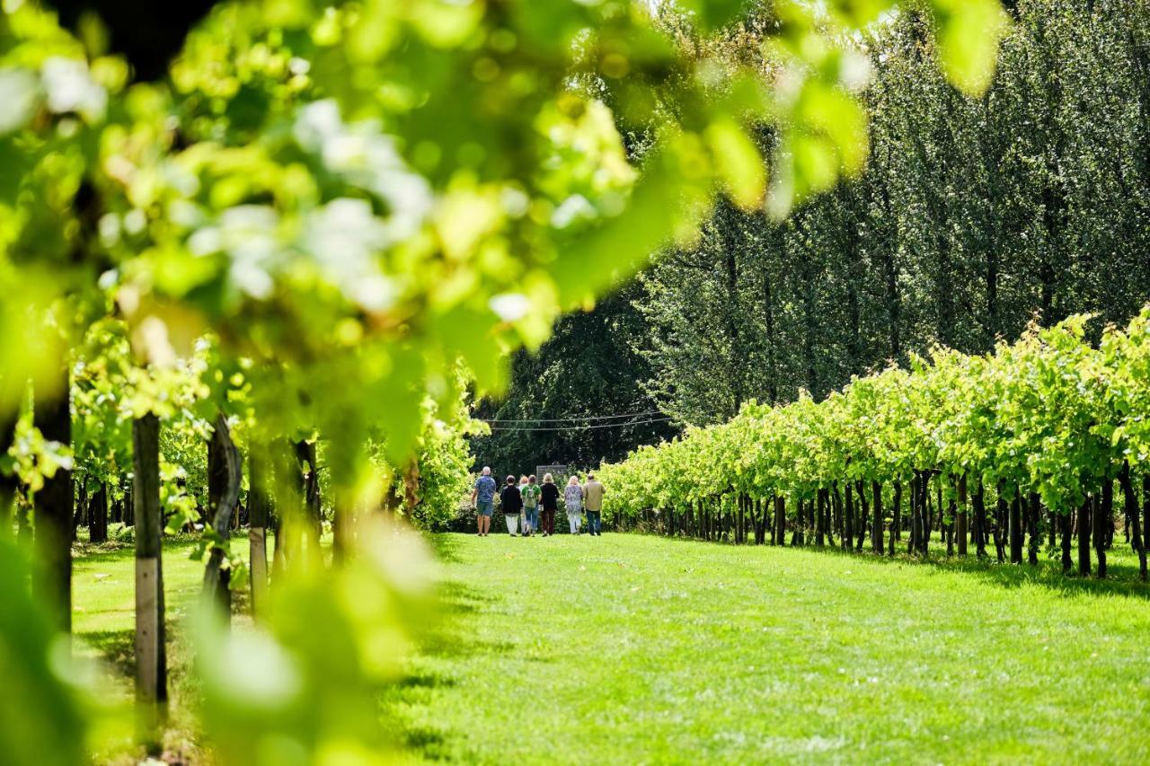 Hotel Llanerch Vineyard